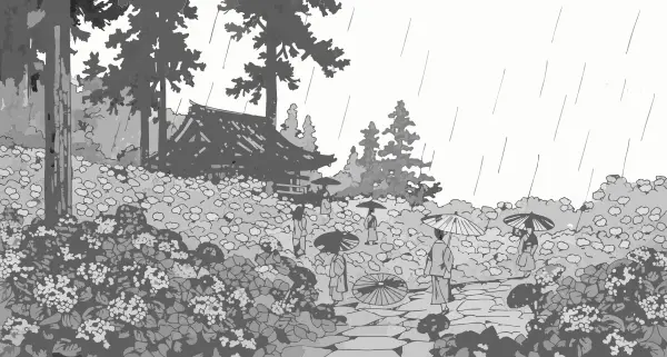 June: Hydrangeas at Mimuroto-ji