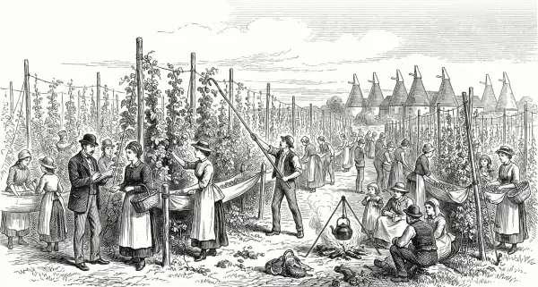 September: Hop-picking in Kent